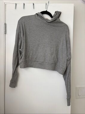 Wishful Thinking Heather Gray Cropped Hoodie